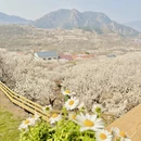 青岛旅游 缩略图 7