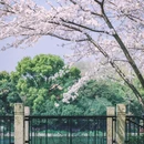 上海旅游 缩略图 3
