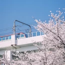 上海旅游 缩略图 2