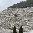 青岛旅游 缩略图 8