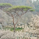 青岛旅游 缩略图 4