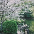 上海旅游 缩略图 7