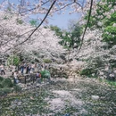 上海旅游 缩略图 10
