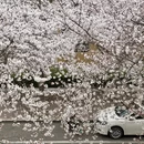 青岛旅游 缩略图 2