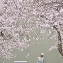 青岛旅游 缩略图 1