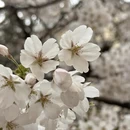 青岛旅游 缩略图 5