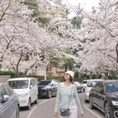 青岛旅游 缩略图 7