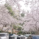 青岛旅游 缩略图 6