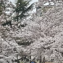 青岛旅游 缩略图 9