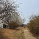大连旅游 缩略图 8