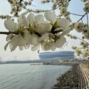 大连旅游 缩略图 5