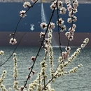 大连旅游 缩略图 12