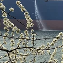 大连旅游 缩略图 11