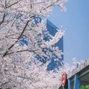 上海旅游 缩略图 13