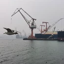 大连旅游 缩略图 18