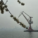 大连旅游 缩略图 14