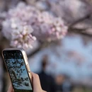 福州旅游 缩略图 5