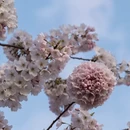 福州旅游 缩略图 4