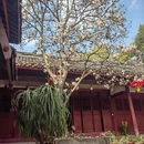 金华旅游 缩略图 1