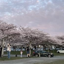 福州旅游 缩略图 7