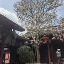 金华旅游 缩略图 2