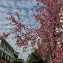 保山旅游 缩略图 4