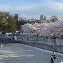 福州旅游 缩略图 14