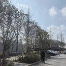 金华旅游 缩略图 4