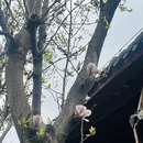 成都旅游 缩略图 2