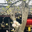 成都旅游 缩略图 4
