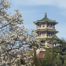 青岛旅游 缩略图 1