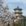 青岛