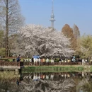 青岛旅游 缩略图 11
