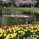 青岛旅游 缩略图 9