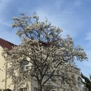 青岛旅游 缩略图 2