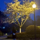 青岛旅游 缩略图 12