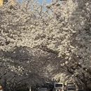 青岛旅游 缩略图 4