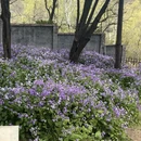 青岛旅游 缩略图 13
