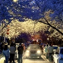 青岛旅游 缩略图 7