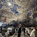 青岛旅游 缩略图 4