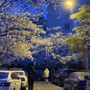 青岛旅游 缩略图 10