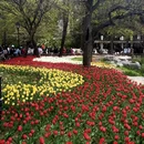 青岛旅游 缩略图 10
