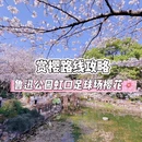 上海旅游 缩略图 1