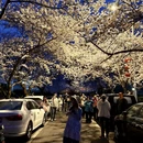 青岛旅游 缩略图 6