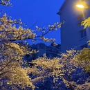 青岛旅游 缩略图 11