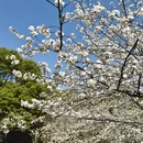 上海旅游 缩略图 9