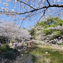 上海旅游 缩略图 5