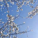 上海旅游 缩略图 8