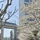 上海旅游 缩略图 3