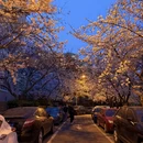 青岛旅游 缩略图 12